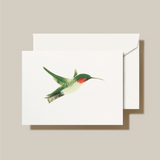 Brushstroke Hummingbird Note
