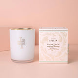 SNOWDROP LUMINARY CANDLE